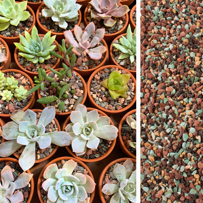 7lb Mix Lava Rocks for Plants in Door -Gravel Pebbles for Bonsai Succulent Cactus Potting Soil and Vase Fillers, Fairy Gardening,Top Dressing