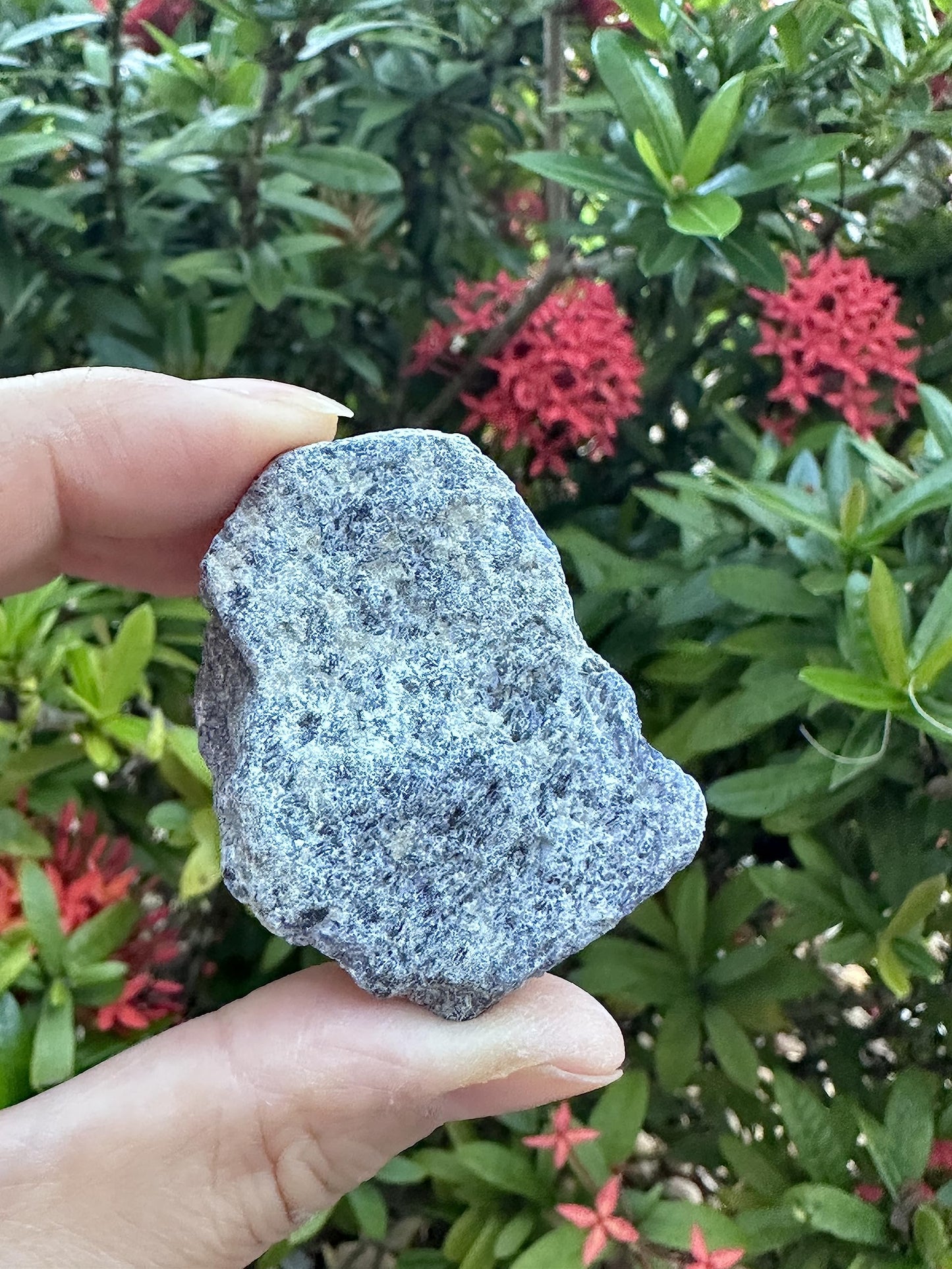 GAF TREASURES Wholesale Raw Iolite Crystals, Natural Iolite Stone, Natural Rough Iolite Crystals, Iolite Rough, Iolite Healing Crystals (Iolite, 0.5 Pound)