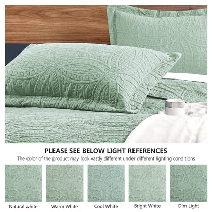 Love's cabin Quilts for Queen Bed Sage Bedspreads - Soft Bed Summer Lightweight Bedspread Comforter - Modern Style Coin Pattern Coverlet for All Season - 3 Pieces (1 Quilt, 2 Pillow Shams)