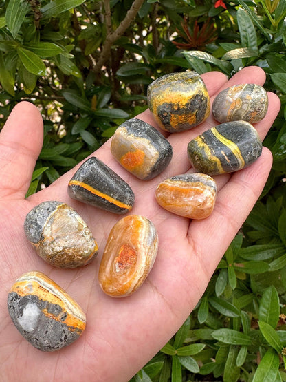 GAF TREASURES 5 Pcs Bumble Bee Jasper Tumbled Stones, Polished Bumble Bee Jasper Gemstone, Bumble Bee Jasper Healing Crystals (Bumble Bee Jasper)