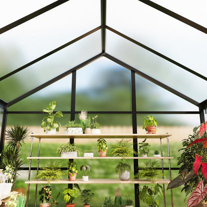 6X8 Ft Polycarbonate Greenhouse Sunroom with Aluminum Frame, Outdoor Greenhouse for Vegetables Herbs Flowers, Lockable Door & Adjustable Roof Vent, Patio Backyard Greenhouse Kit for Gardening, Black