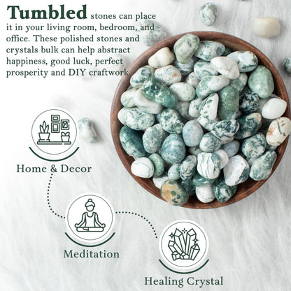 Crocon 1lb Tree Agate Tumble Stones Stones Set Pocket Crystal Healing Gemstones Balancing Tumble Collection Palm Stone Meditation Good Luck Charm Gift Craft Home Decor Size: 20-25 mm 1 LB