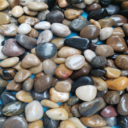 River Stones, Plants, Gardens, Landscapes, Succulents, Highly Polished Decorative Pebbles in Shapes and Sizes from 1-3 inches. (5.7LB, 1)