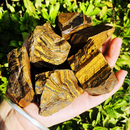 Simurg Raw Tiger Eyes Stone 1lb ''A'' Grade Tiger Eyes Rough Crysta Rocks ‌Aroma Stone for Cabbing, Tumbling, Cutting, Lapidary, Polishing, Reiki Crystal Healing