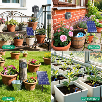 NFESOLAR 4W Solar Drip Irrigation Kit for Outdoor Indoor Plants, Customizable Watering Duration 1–30min & Interval 3h–7d, Solar Irrigation System for Garden Patio Balcony Vacation