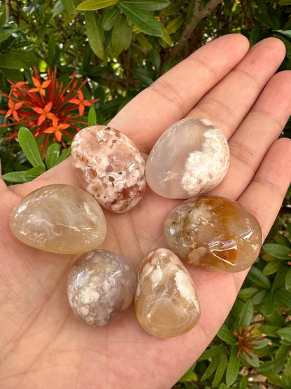Wholesale Polished Flower Agate Tumbled Stones (0.25 Pound)