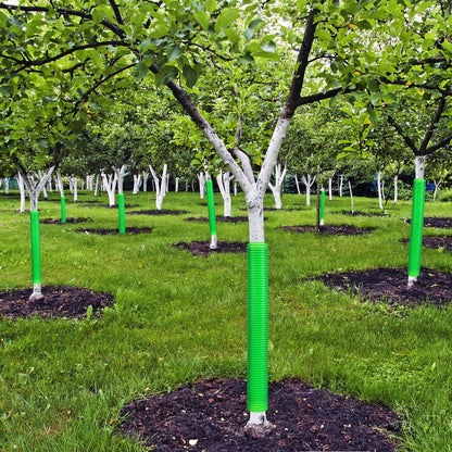 Menkxi 20 Pcs Corrugated Tree Guards Tubes Plastic Saplings Tree Trunk Protectors Wraps to Protect Bark from Deer, Sapling from Rodents, Mowers, Animals(15.7 x 2, 15.7 x 1.5)