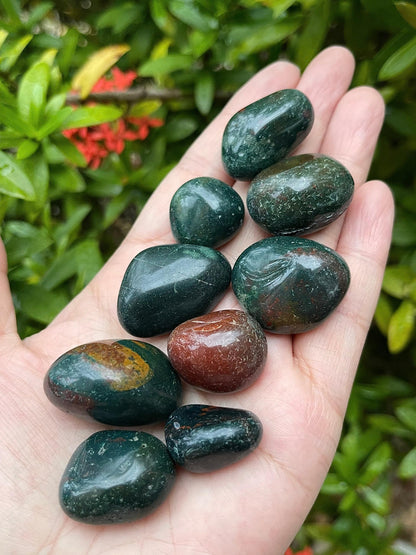 GAF TREASURES 5 Pcs African Bloodstone Tumbled Stones, Polished African Bloodstone Gemstone, African Bloodstone Healing Crystals (African Bloodstone)
