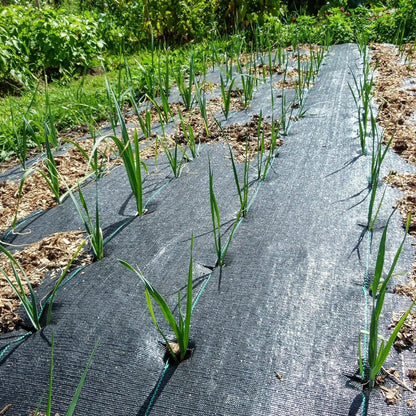 Groweco Weed Barrier Landscape Fabric Heavy Duty 3FT x 100FT Garden Fabric Weed Mat Ground Cover,Weed Barrier Fabric Gardening Mulch,Landscaping Fabric Weed Blocker,Weed Cloth Garden Bed Cover