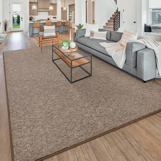 Chicrug Modern 4x6 Area Rugs for Bedroom Living Room, Memory Foam Low-plie Carpet Rug for Kids Playroom, Indoor Floor Rug for Bedside Dorm Dining Room Home Decor, Brown and White