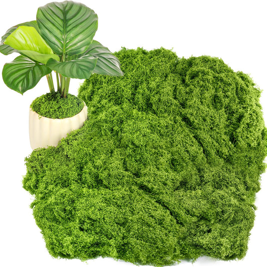 Draupnir Fake Green Moss for Potted Plants, 10.6OZ Fake Moss for Plants Indoor,Faux Moss for Crafts Artificial Moss Decor, DIY Decorative Moss for Fairy Garden Glass Containers Wedding (300g)
