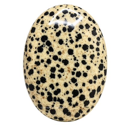 Amazing Gemstone Dalmatian Jasper Crystals and Healing Stones - Large Palm Stone Crystals Piedra - Crystal for Good Luck, Positive Energy, Meditation - Unique Stocking Stuffers Gifts for Women, Men