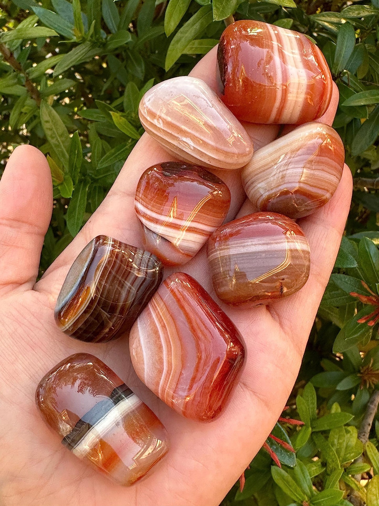 GAF TREASURES 5 Pcs Red Banded Agate Tumbled Stones – Polished Natural Red Banded Agate Gemstones for Collection, Display & Crafting (Red Banded Agate)