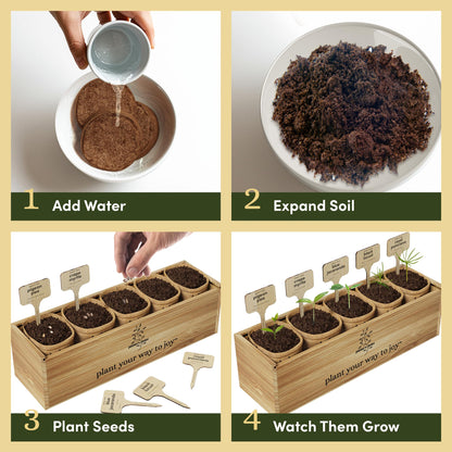 Planter's Choice Bonsai Tree Starter Kit - Mothers Day Gifts for Women, Men - Birthday Gifts for Adults - Indoor Live House Plants - DIY for Adults Craft Kits - Unique Hobby Gift Gardening Lovers