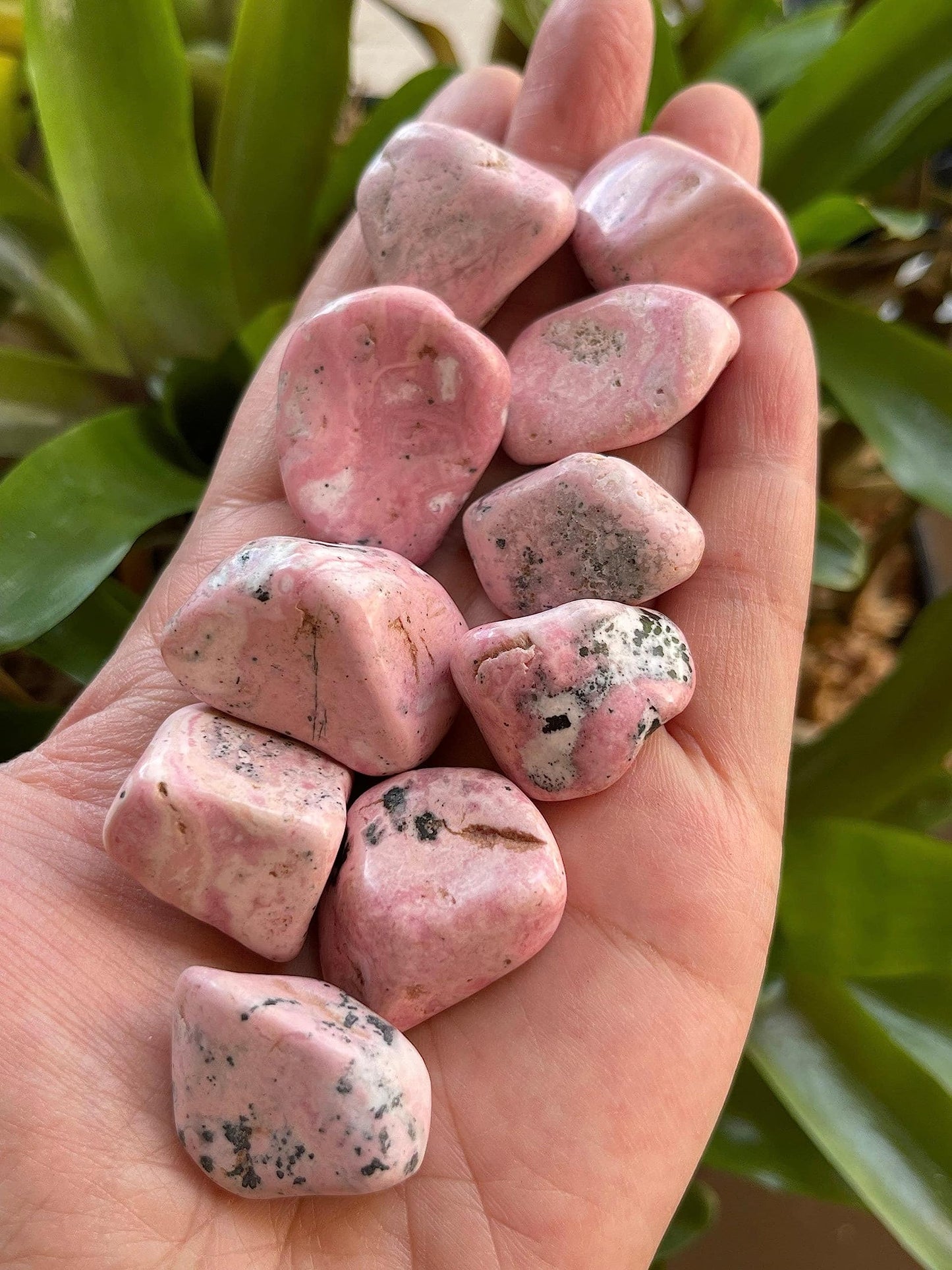 WHOLESALE Rhodonite Tumbled Stones, Polished Rhodonite Gemstone, Rhodonite Polished Rocks (Rhodonite, 0.25 Pound)