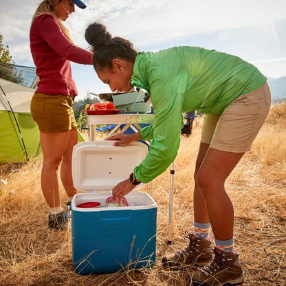 Coleman Chiller 30qt Insulated Portable Cooler with Ice Retention & Large Carry Handle, Made in USA, Great for Camping, Tailgating, Parties, Sports, Concerts & More