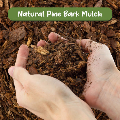 Soil Sunrise 100% Natural Pine Bark Mulch Nuggets (30 Quarts) Small Mulch Chips for Indoor/Outdoor Container Gardening, Ideal for Soil Supplement, Houseplant Mulch, and Terrariums