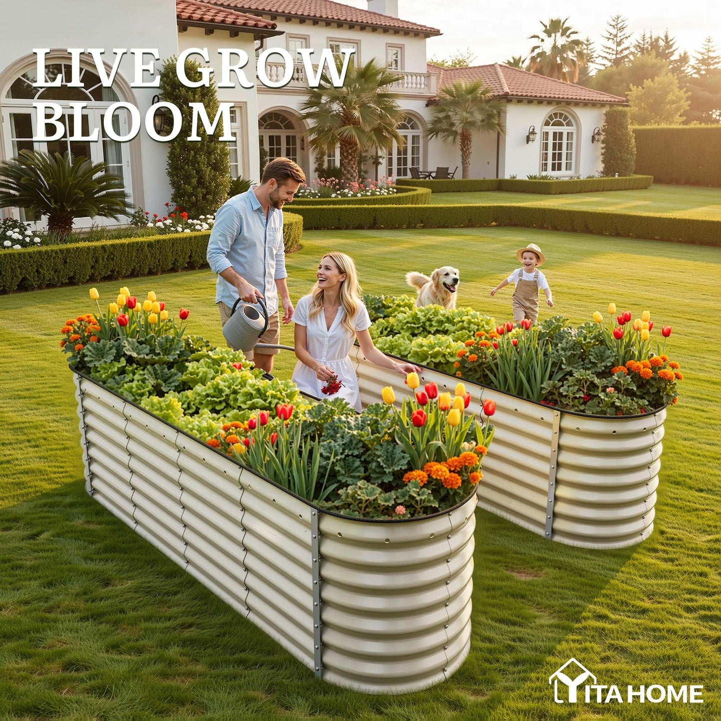 YITAHOME 8x2x2ft Large Raised Garden Bed Kit, 24" Tall 9 in 1 Galvanized Metal Planter Box with Gloves and Safety Rubber, Outdoor Above Ground Planters for Plants Vegetables Flowers, Cream Yellow