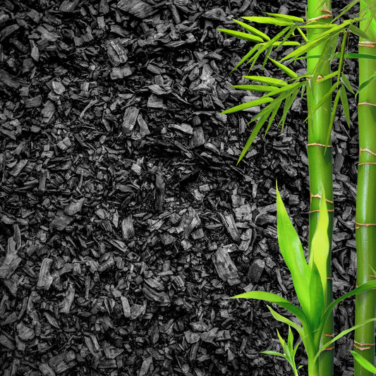 GARDENWISE Horticultural Charcoal for Plants – Organic Bio Char Soil Amendment for Terrariums, Indoor Plants & Gardening, Made in USA (30 quarts)