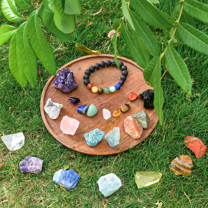 AOOVOO 26 PCS Crystals and Healing Stones, Healing Crystals Gift Set, 7 Raw Chakra Stone, 7 Tumbled Gemstones, Crystal Amethyst Necklace, Selenite Plate, Lava Bracelet, Clear Quartz, Gift Box