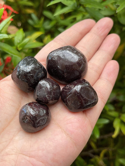 GAF TREASURES 5 Pcs Garnet Tumbled Stones, Polished Garnet Gemstone, Garnet Healing Crystals (Garnet)