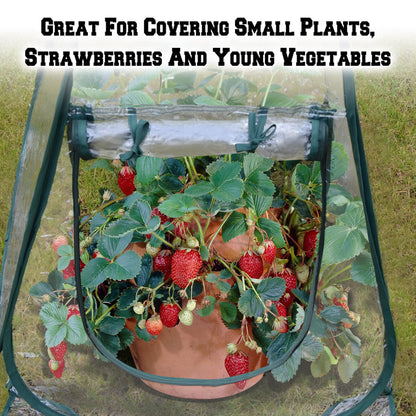 2pcs Quick Set up Mini Greenhouse Portable Small PVC Cover for Garden Flower and Flowerpot Cold Frost Protector Portable Carry Bag with 8 Stakes(PVC(27" L x 27" W x 31" H))