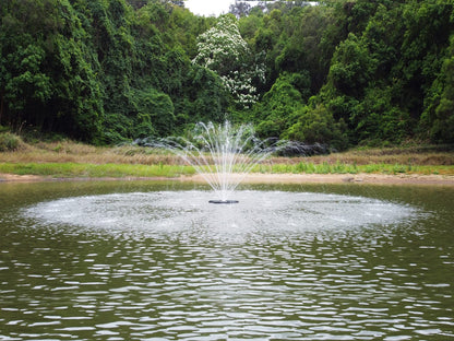 HQUA FS01 120V, 1/2HP, Large Pond Floating Fountain with FSL01 LED RGB Color-Changing Light Sets, 100’ Cord, 13000 GPH, Two Spray Patterns 32'x12' and 18'x6'