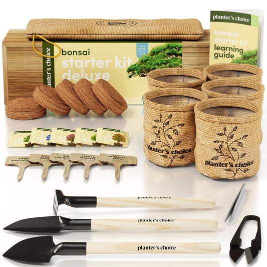 Planter's Choice Bonsai Tree Starter Kit - Mothers Day Gifts for Women, Men - Birthday Gifts for Adults - Indoor Live House Plants - DIY for Adults Craft Kits - Unique Hobby Gift Gardening Lovers