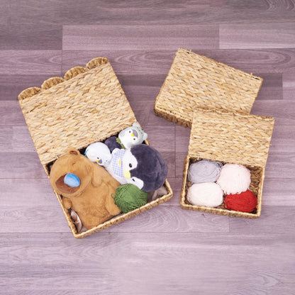 LUSYDECO Set of 2 Scalloped Edge Wicker Basket with Lids, Rectangle Wicker Storage Basket with Built-in Handles, Multipurpose Organizer Rattan Display Boxes for Shelf, Nursery Room