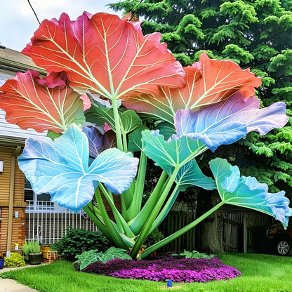 mfjhjhgf Giant Elephant Ear - Rare Colorful Tropical Foliage | Heat & Humidity Hardy, Low-Care Outdoor Garden Patio Accent (4Bulbs)