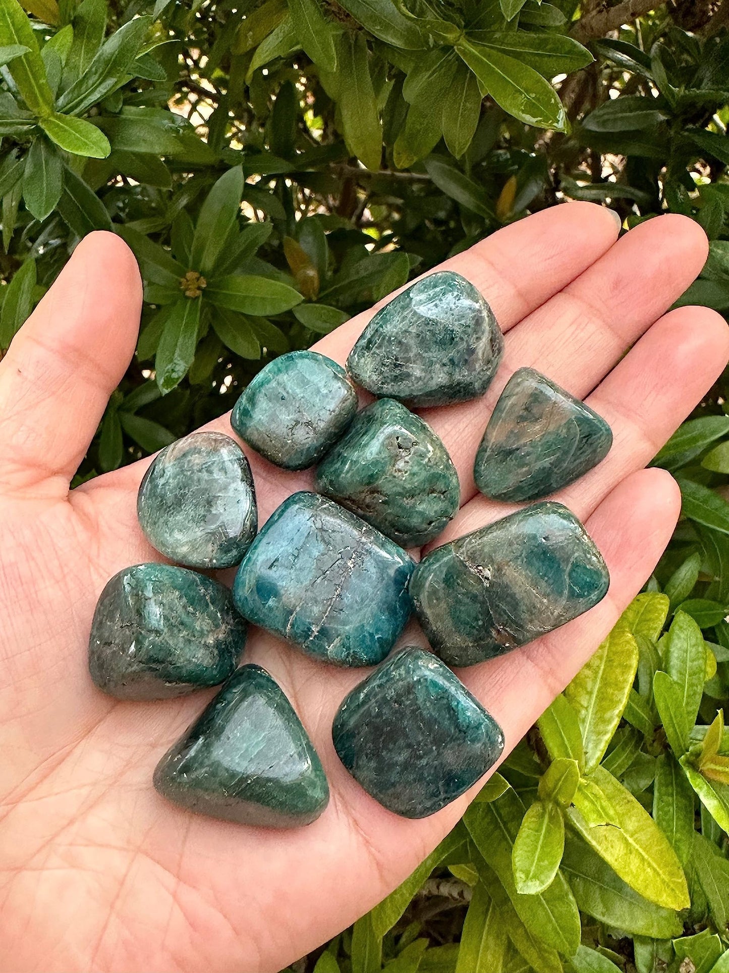 WHOLESALE Apatite Tumbled Stones, Polished Apatite Gemstone, Apatite Polished Rocks (Apatite, 0.25 Pound)