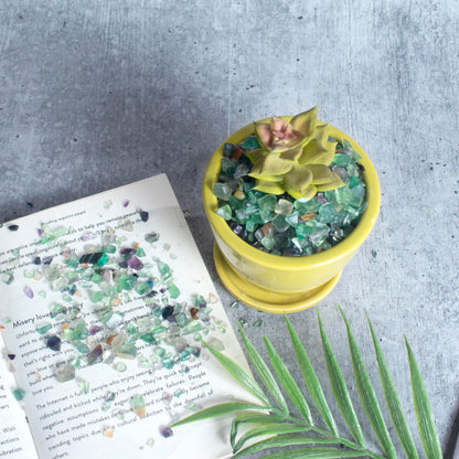 Crocon 1 LB Crushed Fluorite Chips Bulk Stones Natural Quartz Pieces Irregular Shape Gemstones for House Warming Gifts New Home and Chakra Healing Crystals Home Dcor Gifts for Women