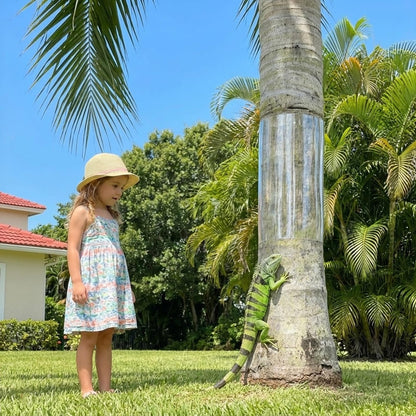 Bltopabb 48" L X 16" W Thickened PVC Transparent Tree Guard for Iguana Prevention, Easy Install Reusable Wrap with Strong Adhesive, Stops Cats from Climbing Trees