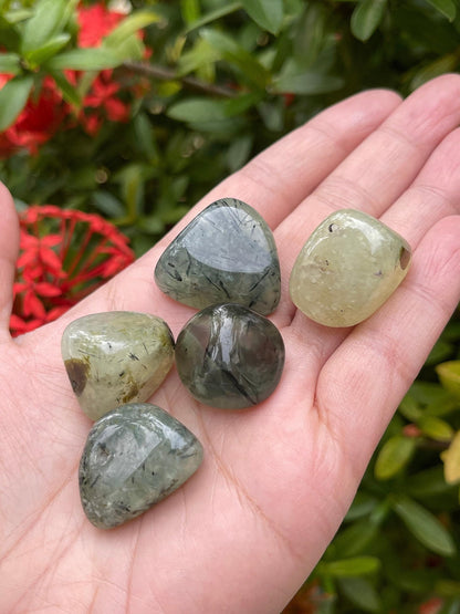 GAF TREASURES 5 Pcs Prehnite with Rutile Tumbled Stones, Polished Natural Prehnite with Rutile Gemstone, Prehnite with Rutile Healing Crystals (Prehnite with Rutile)