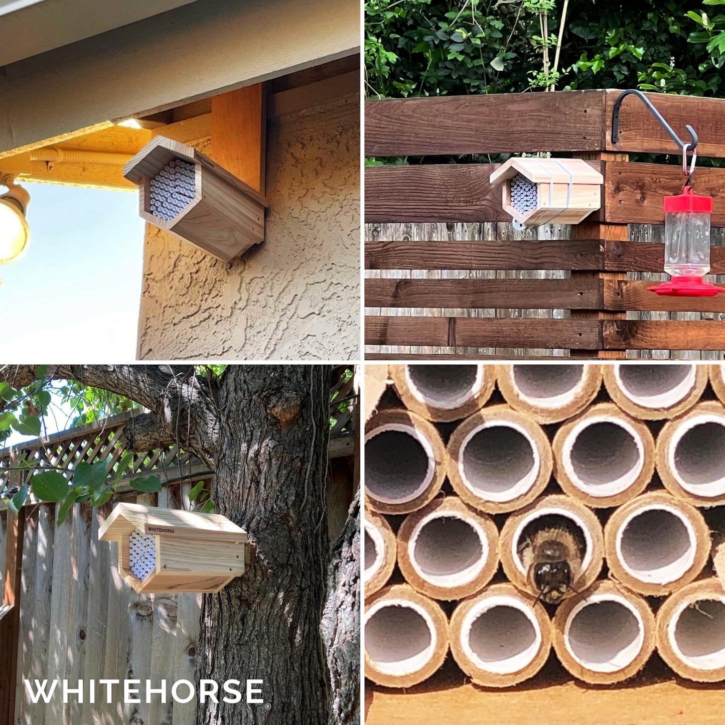 WHITEHORSE Premium Cedar Bee House - 6” Long Replaceable Tubes - Perfect for Mason Beekeeping - an Insect Hotel Built to Last - Support Bees While Pollinating Your Garden (Paper Tubes Included)