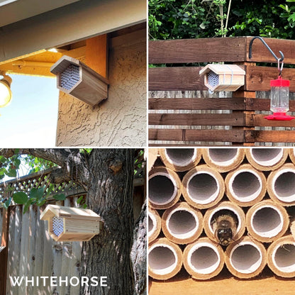 WHITEHORSE Premium Cedar Bee House - 6” Long Replaceable Tubes - Perfect for Mason Beekeeping - an Insect Hotel Built to Last - Support Bees While Pollinating Your Garden (Paper Tubes Included)