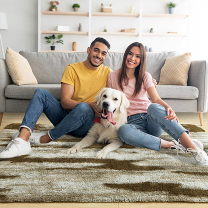 Noahas Fluffy 4x6 Area Rugs for Bedroom Living Room,Shag Khaki Thick Throw Floor Carpet,Soft Shaggy Bedside Non-Slip Plush Dorm Nursery Kids Rug