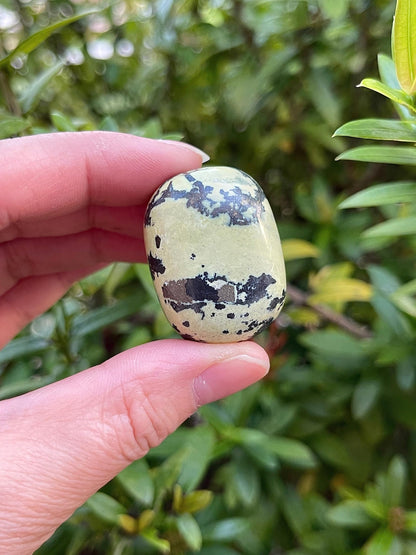 WHOLESALE Serpentine Tumbled Stones, Polished Serpentine Gemstone, Serpentine Polished Rocks (Serpentine, 0.25 Pound)