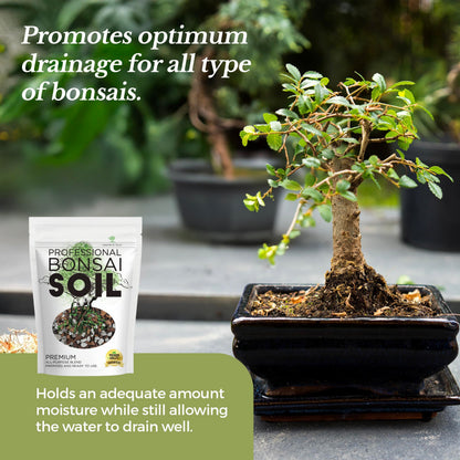 Professional Bonsai Soil Mix Ready to Use | Large 2.2 Quarts, Premium Potting Soil for Bonsai Trees, Fast Draining Blend Lava Limestone Pearock Calcined Clay Pinebark Indoor Outdoor | Made in USA