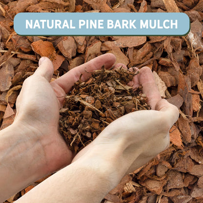100% Natural Pine Bark Mulch Nuggets (8 Quarts), Small Mulch Chips for Indoor/Outdoor Container Gardening, Ideal for Soil Supplement, Houseplant Mulch