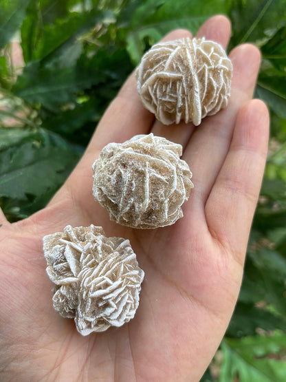 GAF TREASURES Wholesale Raw Desert Rose Crystals, Natural Desert Rose Stone, Natural Rough Desert Rose Crystals, Desert Rose Rough, Desert Rose Healing Crystals (Desert Rose, 0.5 Pound)