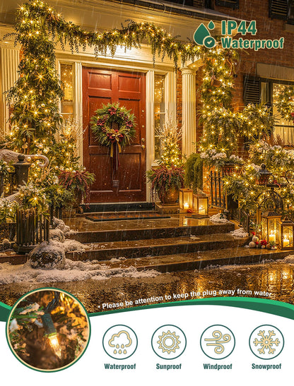 Hopolon Clear Christmas Lights Set 2 Pack 50 Count 13 Feet Incandescent Bulb Green Wire Mini String Lights for Indoor Outdoor Christmas Tree Garland Birthday Wedding Festival Decoration, Warm White