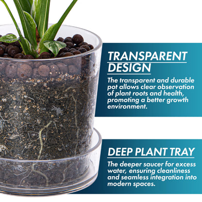Phoenix Vine 6.5 Inch Clear Acrylic Planter Pot with Tray, Orchid Pot with Drainage Holes, Deep Saucer for Bottom Watering, Transparent Containers for Indoor Plants, Herbs, Set of 1, 91-A-F-1