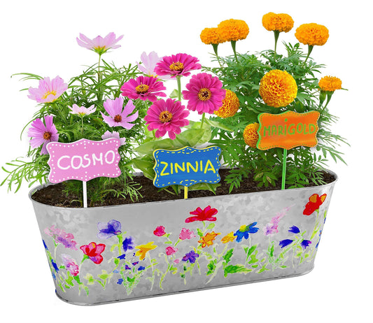 Dan&Darci Paint & Plant Flower Growing Kit for Kids - Gift Ideas Age 5 6 7 8-12 Year Old Girl - Birthday Crafts Gifts for Girls & Boys, Fun Gardening Kits, Art Projects for Ages 5-12 Years