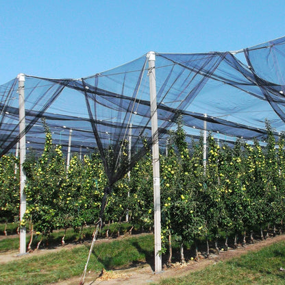 39 x 10 Ft Mosquito Netting, Garden Bird Netting for Patio, Insect Mosquito Net for Plant Protection Breathable Mesh Garden Plant Covers Protect Vegetables Fruits from Birds Bugs