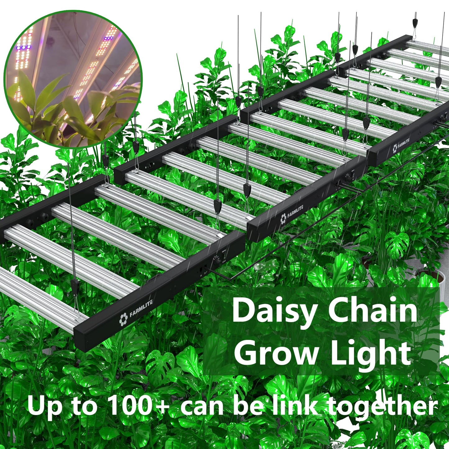FARMLITE LED Grow Lights for Indoor Plants Full Spectrum Growing Light Bar Plant Hanging Growing Lamps Seedling Daisy Chain Dimmable Board 4x4ft Coverage (260watts)