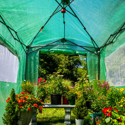 EAGLE PEAK 8x6 Portable Walk in Greenhouse, Pop Up Indoor Outdoor Greenhouse, Green House Kit with Zippered Roll-Up Doors and Windows, PE Cover, Clear/Green