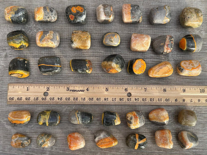 GAF TREASURES 5 Pcs Bumble Bee Jasper Tumbled Stones, Polished Bumble Bee Jasper Gemstone, Bumble Bee Jasper Healing Crystals (Bumble Bee Jasper)