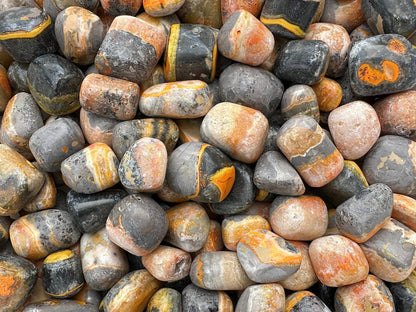 GAF TREASURES 5 Pcs Bumble Bee Jasper Tumbled Stones, Polished Bumble Bee Jasper Gemstone, Bumble Bee Jasper Healing Crystals (Bumble Bee Jasper)