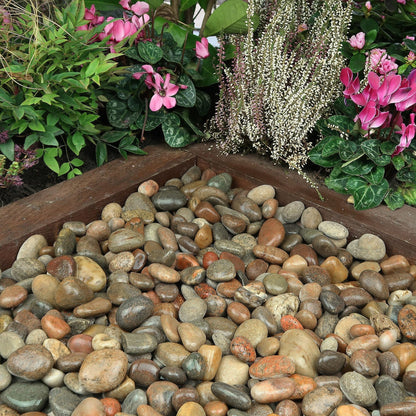 VINICS 20lbs Large River Rocks for Landscaping, 3-4 Inch Natural Unpolished Bulk Pebbles, Hand-Picked Premium Stones for Garden Design Fish Tank, Flower Pots, Pathways and Backyard, Mixed Color